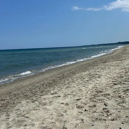 Pavillon Chez Michel Corse Dom wakacyjny